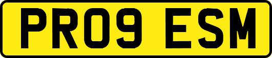 PR09ESM