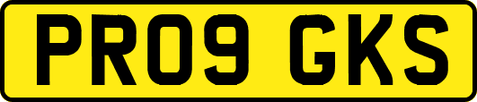 PR09GKS