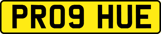 PR09HUE