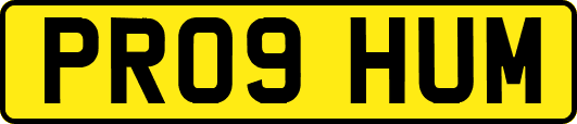 PR09HUM