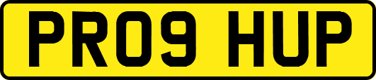 PR09HUP