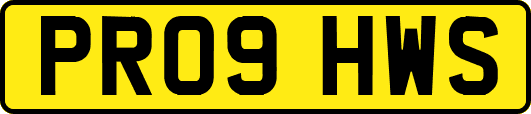 PR09HWS