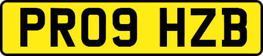 PR09HZB