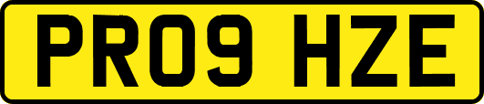 PR09HZE