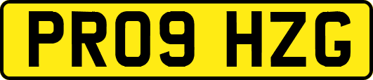 PR09HZG