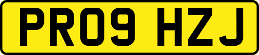 PR09HZJ