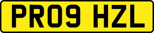 PR09HZL