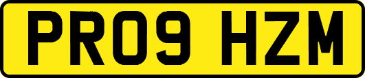 PR09HZM