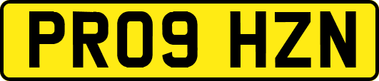 PR09HZN