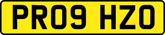 PR09HZO