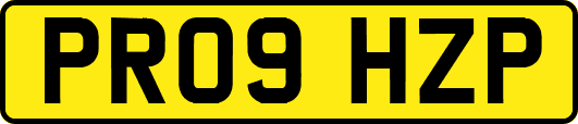 PR09HZP