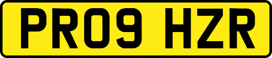 PR09HZR