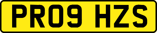 PR09HZS