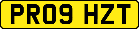 PR09HZT