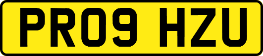 PR09HZU