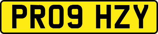 PR09HZY