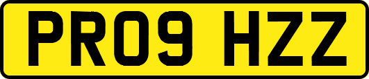 PR09HZZ