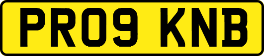 PR09KNB