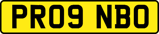 PR09NBO