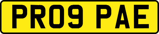 PR09PAE