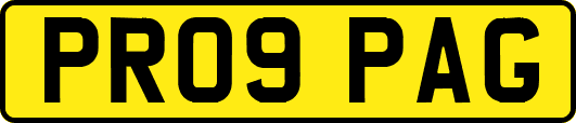 PR09PAG