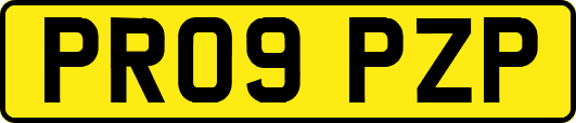 PR09PZP