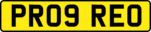 PR09REO