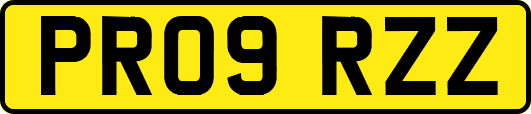 PR09RZZ