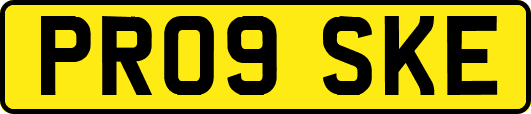PR09SKE