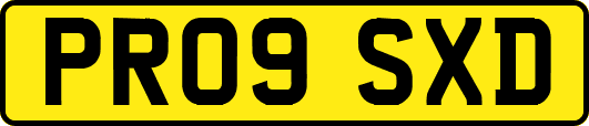 PR09SXD