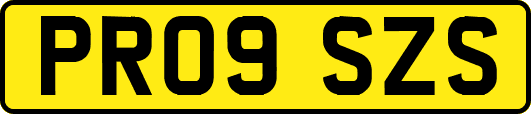 PR09SZS
