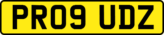 PR09UDZ