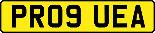 PR09UEA