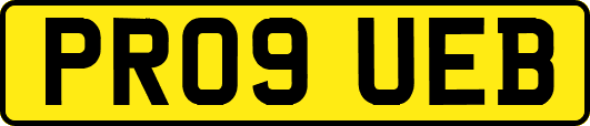PR09UEB