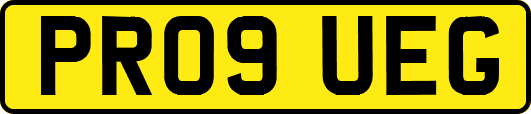 PR09UEG