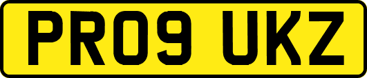 PR09UKZ