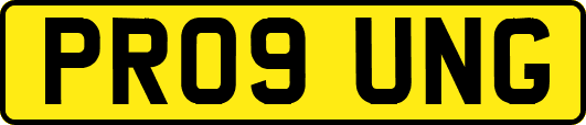 PR09UNG