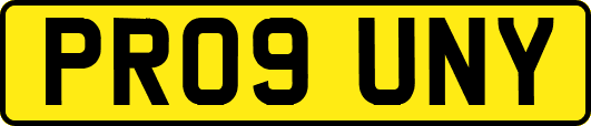 PR09UNY