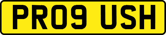 PR09USH