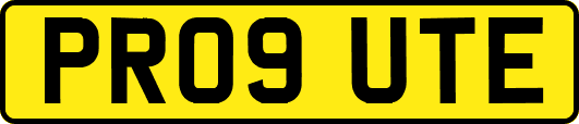 PR09UTE