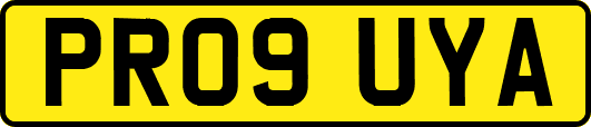 PR09UYA