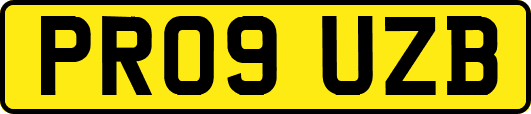 PR09UZB