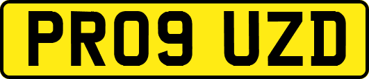 PR09UZD