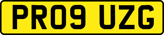 PR09UZG