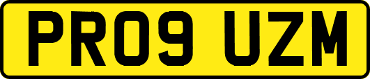 PR09UZM