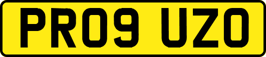 PR09UZO