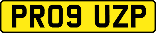 PR09UZP