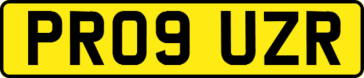 PR09UZR