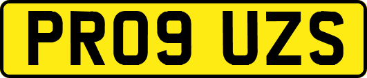 PR09UZS