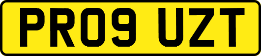 PR09UZT